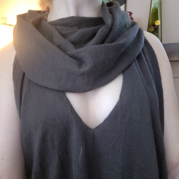 Meet your Posher, Sammy - Picture 10 of 12